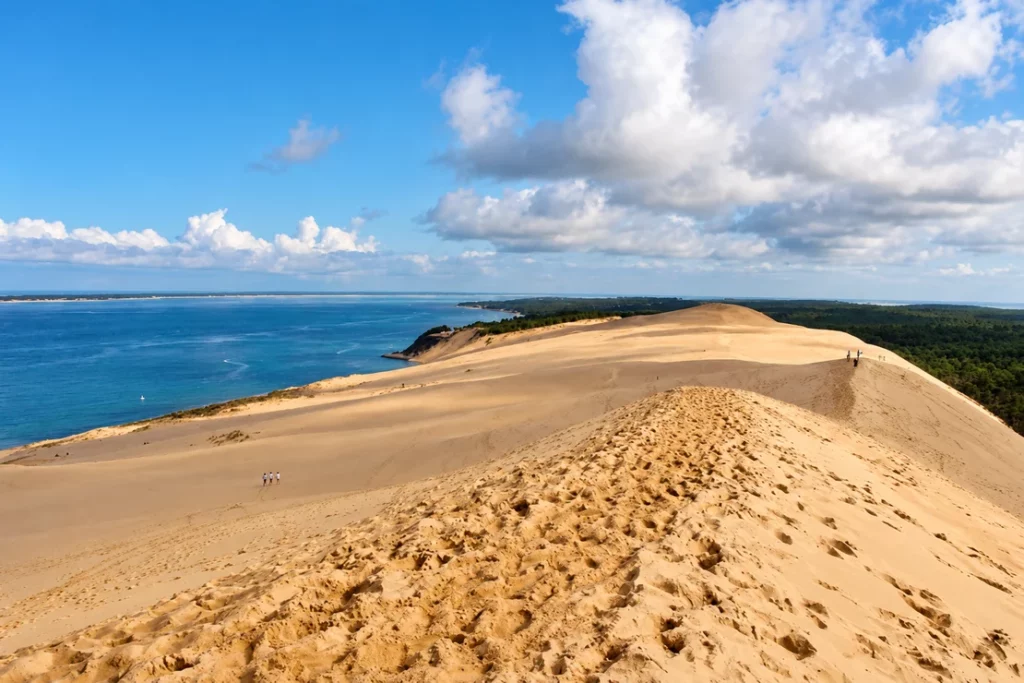 Crête de la dune du Pilat entre l’eau et la forêt de pins.